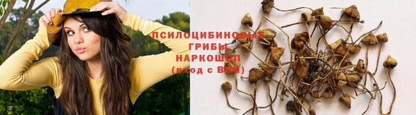 метадон Горнозаводск