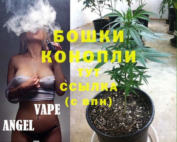 экстази Горняк