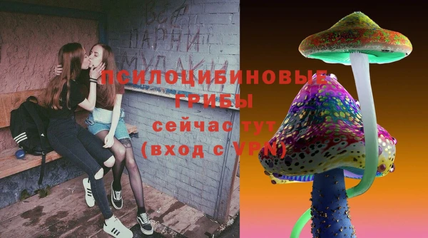 метадон Горнозаводск