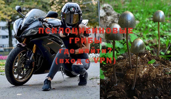 метадон Горнозаводск