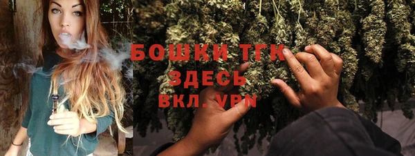 экстази Горняк