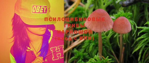 экстази Горняк