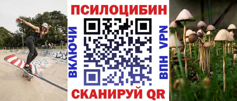 как найти   Калининград  Псилоцибиновые грибы мухоморы 